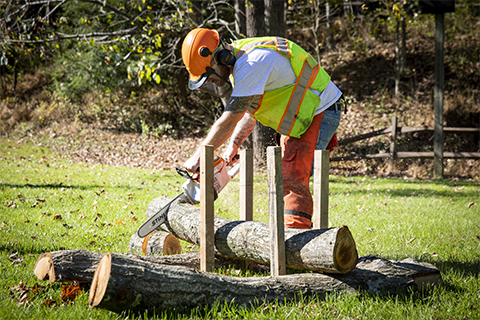 Outdoors, nature, grass, person, chainsaw, tools, wood, protective equipment