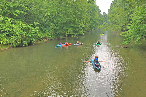 Water, nature, outdoors, kayaks, boats, people, trees, river, creek