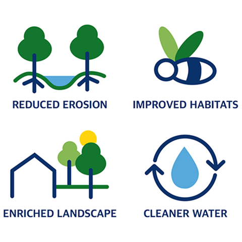 Infographic showing symbols of trees, water, bee, and house. Text:Reduced erosion Improved habitats enriched landscape cleaner