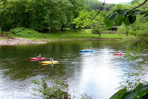 Four_Kayakers_on_Pine_Creek.jpg