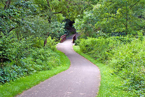An asphalt path leads downhill towards a metal bridge in the woods.