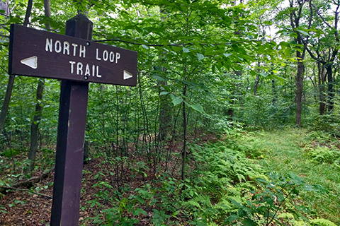 North Loop Trail sign