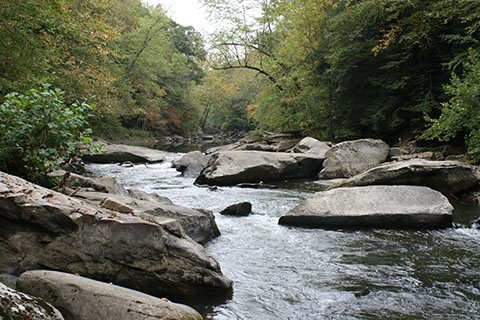 Large stone boulders fill a creekbed surrounded by dense forests.